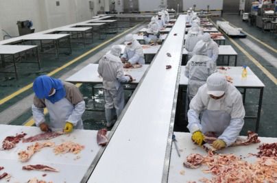 冷冻食品仓储加工商红星冷链拟a股ipo